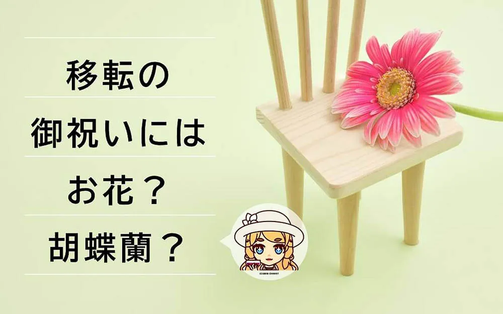 オフィスの移転祝いにふさわしいのはやっぱりお花なの？胡蝶蘭はどうかしら？