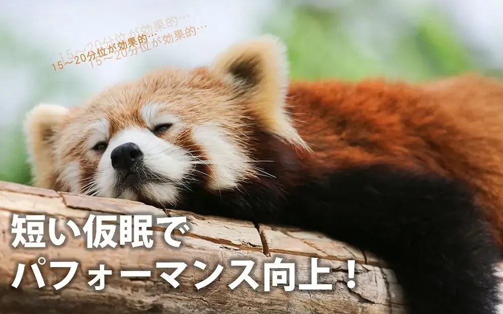 短い仮眠でパフォーマンス向上！15～20分位が効果的