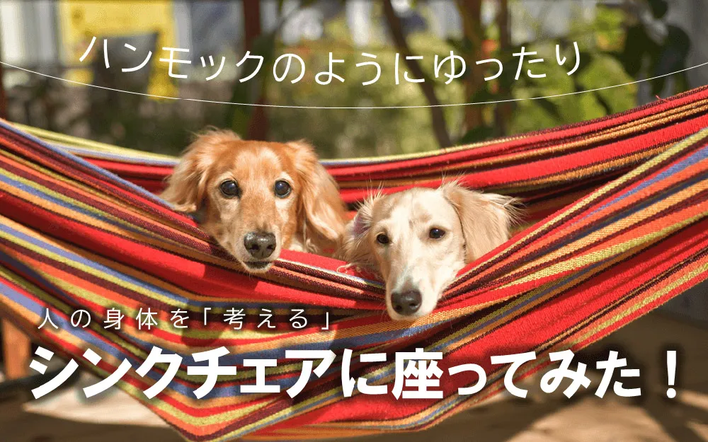 ハンモックのようにゆったり、人の身体を「考える」シンクチェアに座ってみた！